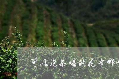 可以泡茶喝的花有哪些/2023060911694