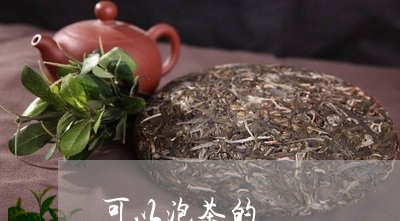 可以泡茶的/2023090217159