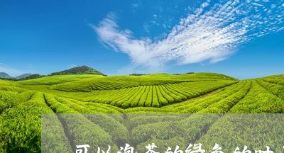 可以泡茶的绿色的叶子/2023071561682