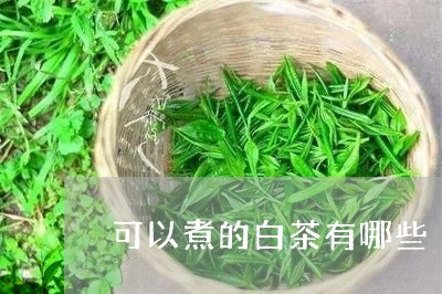 可以煮的白茶有哪些/2023071621613