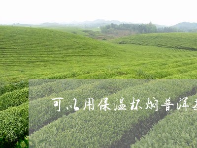 可以用保温杯焖普洱茶吗/2023082997148