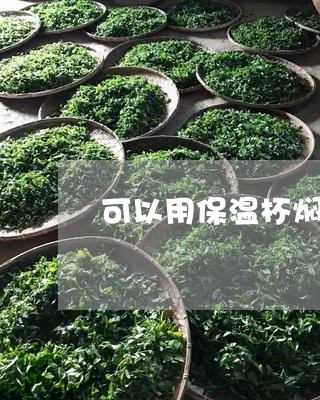 可以用保温杯焖普洱茶吗/2023121502825