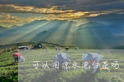 可以用凉水泡白茶吗/2023081316158