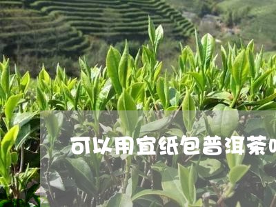 可以用宜纸包普洱茶吗/2023092639683