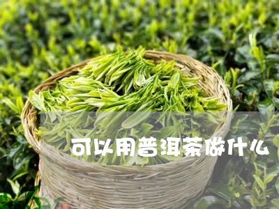 可以用普洱茶做什么/2023121586059