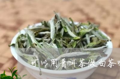 可以用普洱茶做白茶吗/2023061716037