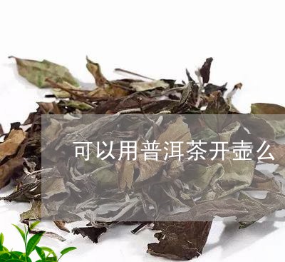 可以用普洱茶开壶么/2023110313684