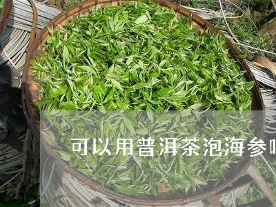 可以用普洱茶泡海参吗/2023092603816