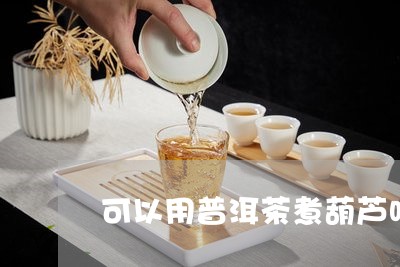 可以用普洱茶煮葫芦吗/2023092855028