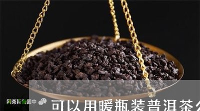 可以用暖瓶装普洱茶么/2023093079572