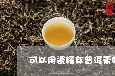 可以用瓷罐存普洱茶吗/2023061682724