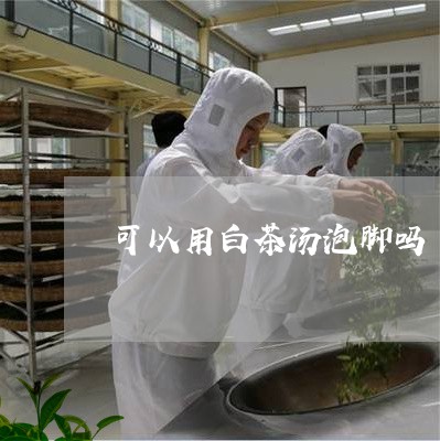 可以用白茶汤泡脚吗/2023121713148