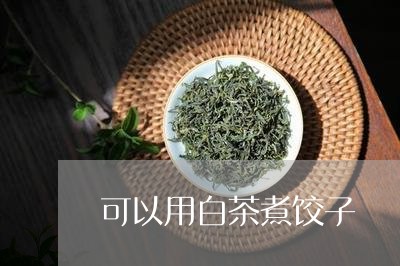 可以用白茶煮饺子/2023061582713