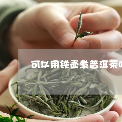 可以用铁壶煮普洱茶吗/2023092891724