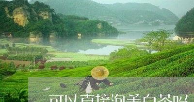 可以直接泡美白茶吗/2023071603625