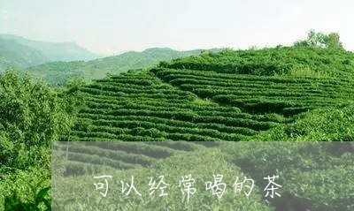 可以经常喝的茶/2023042981037