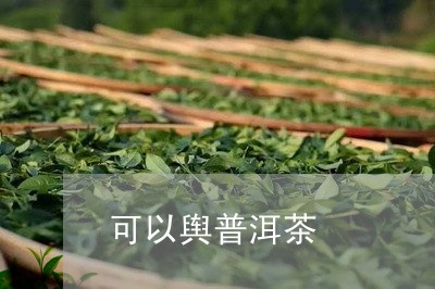 可以舆普洱茶/2023042611135