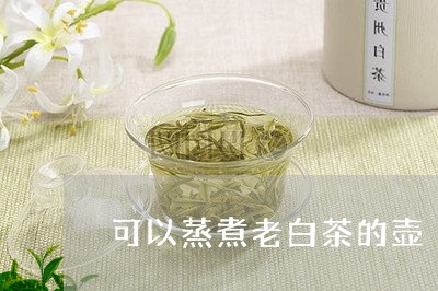 可以蒸煮老白茶的壶/2023071655938