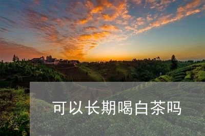 可以长期喝白茶吗/2023061533937