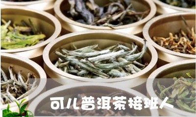 可儿普洱茶接班人/2023101618293