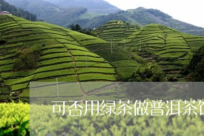 可否用绿茶做普洱茶饼呢/2023110115948