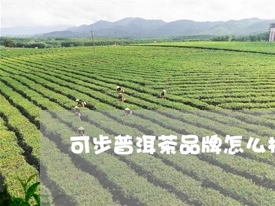 可步普洱茶品牌怎么样/2023093082748