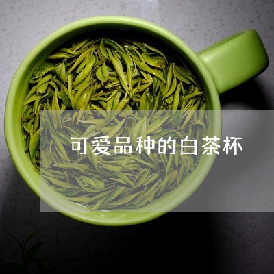 可爱品种的白茶杯/2023061508250