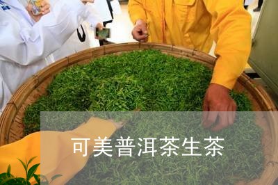 可美普洱茶生茶/2023101682718