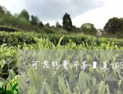 可靠熟普洱茶渠道招商/2023061473937