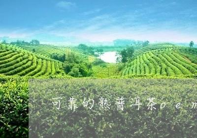 可靠的熟普洱茶oem/2023100692594