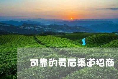 可靠的贡眉渠道招商/2023071622814