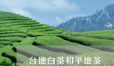 台地白茶和平地茶/2023061517240