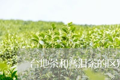 台地茶和普洱茶的区别/2023100762737