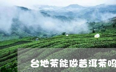 台地茶能做普洱茶吗/2023120412503