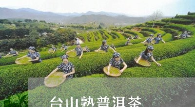 台山熟普洱茶/2023091333736