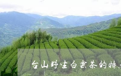 台山野生白云茶的特点/2023060972550