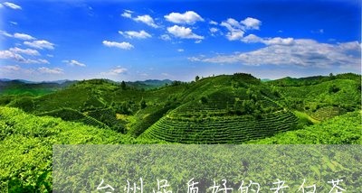 台州品质好的老白茶/2023121757052