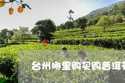 台州哪里购买购普洱茶饼/2023062974926