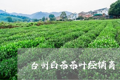 台州白茶茶叶经销商/2023121707047