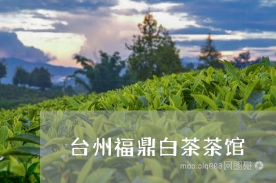 台州福鼎白茶茶馆/2023061596967