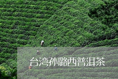 台湾孙璐西普洱茶/2023062895948