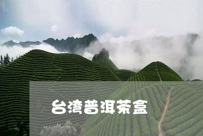 台湾普洱茶盒/2023042883912