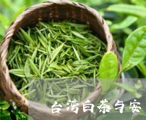台湾白茶与安吉白茶/2023121726152