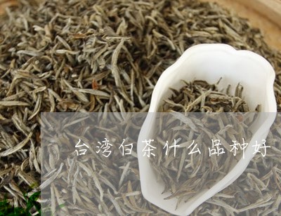 台湾白茶什么品种好/2023121789527