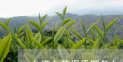 台湾白茶保质期多久/2023121778492