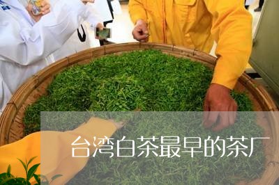 台湾白茶最早的茶厂/2023121709693