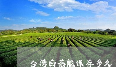 台湾白茶能保存多久/2023121751627