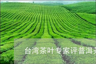 台湾茶叶专家评普洱茶/2023062547361