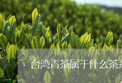 台湾青茶属于什么茶系/2023060917168