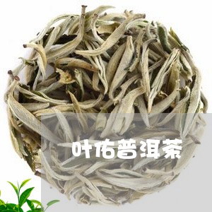 叶佑普洱茶/2023090694927